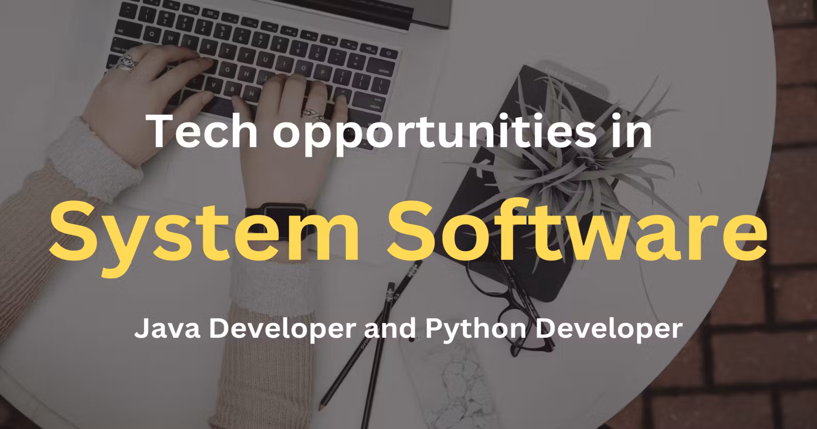 Tech opportunities in System Software Java Developer and Python Developer